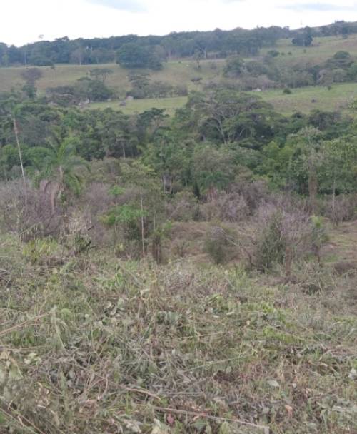 Finca en venta en Mesetas